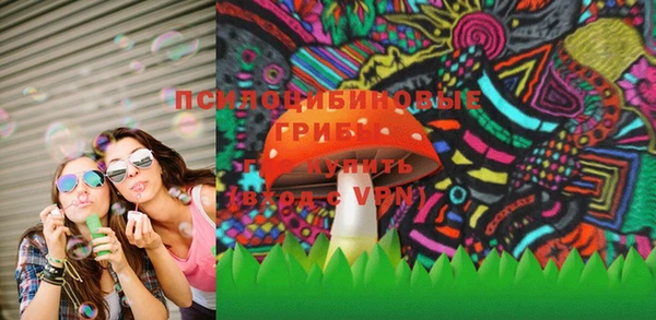 стафф Ростов