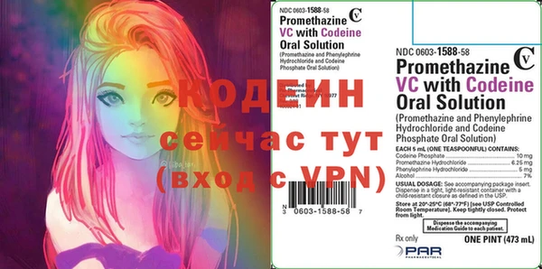 стафф Ростов